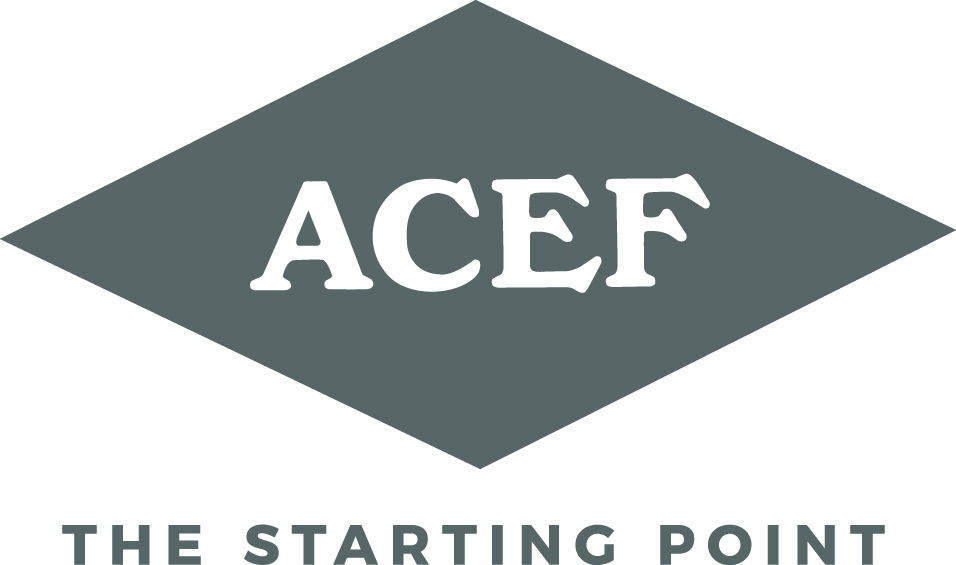 ACEF istituzionale